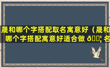 晟和哪个字搭配取名寓意好（晟和哪个字搭配寓意好适合做 🐦 名字）